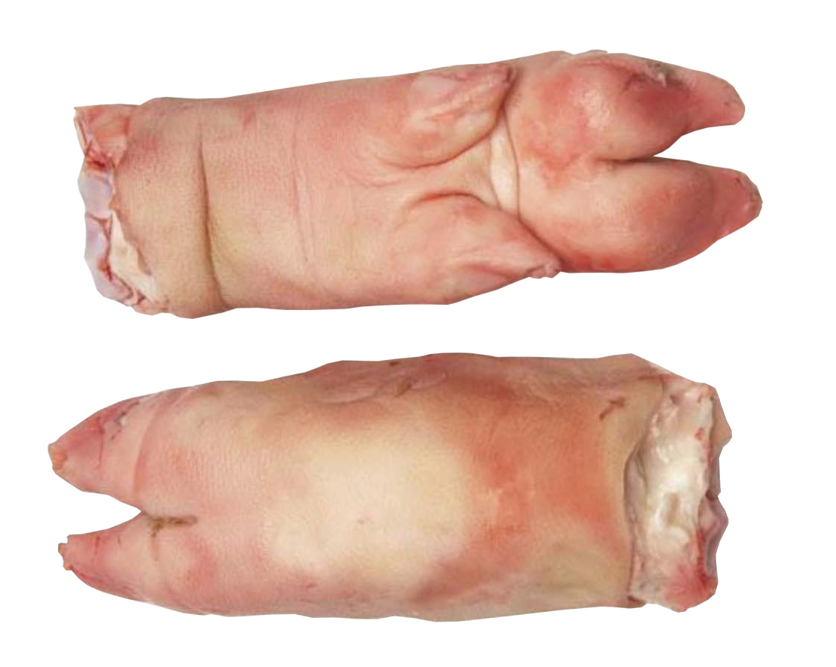 Pork Feet Front 20kg (Whole)